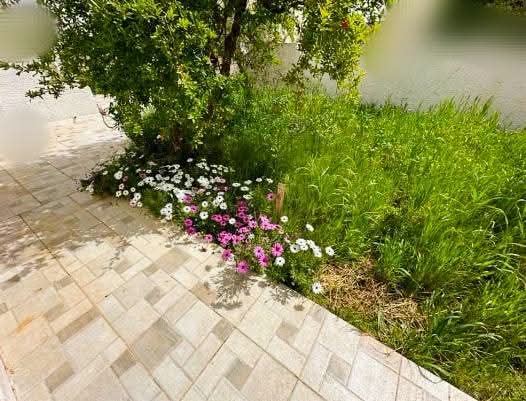 Ariana Ville&nbsp;Cite Ennasr 2&nbsp;Location&nbsp;Maisons&nbsp;Grande villa ennasr 2