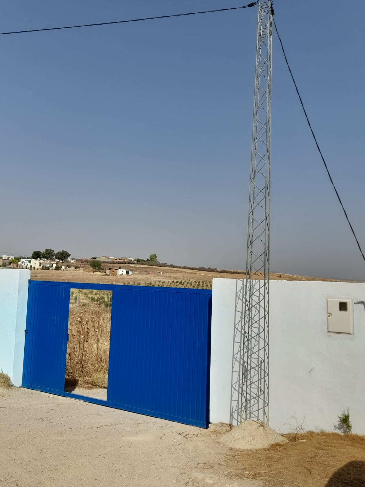 Borj El Amri&nbsp;Borj El Amri&nbsp;Terrain&nbsp;Terrain agricole&nbsp;Terrain un hectare borj el amri