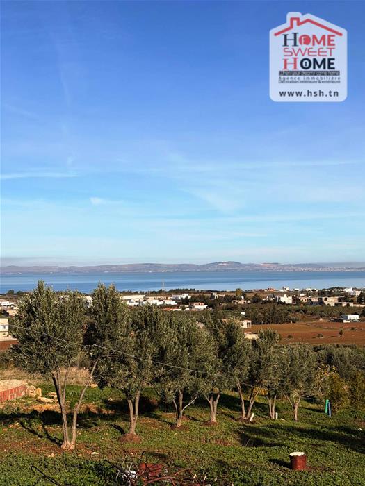 Menzel Bourguiba&nbsp;Menzel Bourguiba&nbsp;Terrain&nbsp;Terrain agricole&nbsp;Terrain agricole afira � hathat menzel bourguiba
