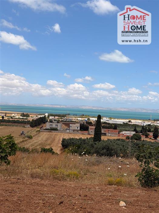 Menzel Bourguiba&nbsp;Menzel Bourguiba&nbsp;Terrain&nbsp;Terrain agricole&nbsp;Terrain agricole afira � hathat menzel bourguiba
