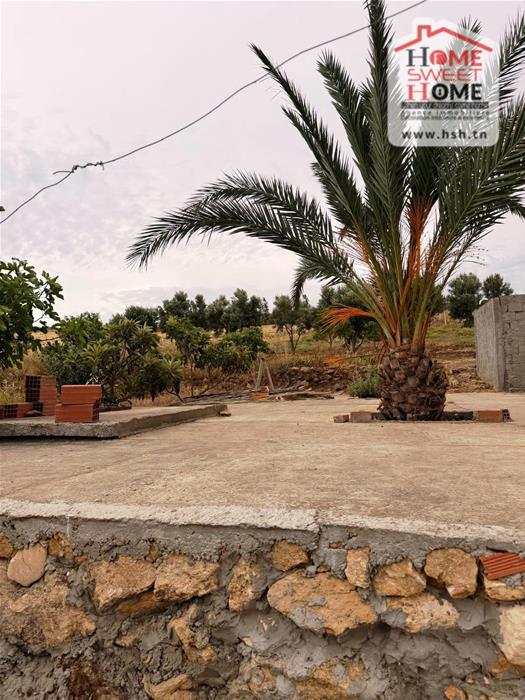 Menzel Bourguiba&nbsp;Menzel Bourguiba&nbsp;Terrain&nbsp;Terrain agricole&nbsp;Terrain agricole afira � hathat menzel bourguiba