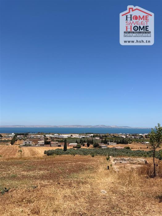 Menzel Bourguiba&nbsp;Menzel Bourguiba&nbsp;Terrain&nbsp;Terrain agricole&nbsp;Terrain agricole afira � hathat menzel bourguiba