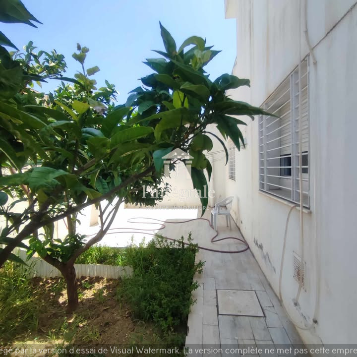 Ariana Ville&nbsp;Cite Ennasr 2&nbsp;Location&nbsp;Appart. 2 pi�ces&nbsp;S1 avec jardin