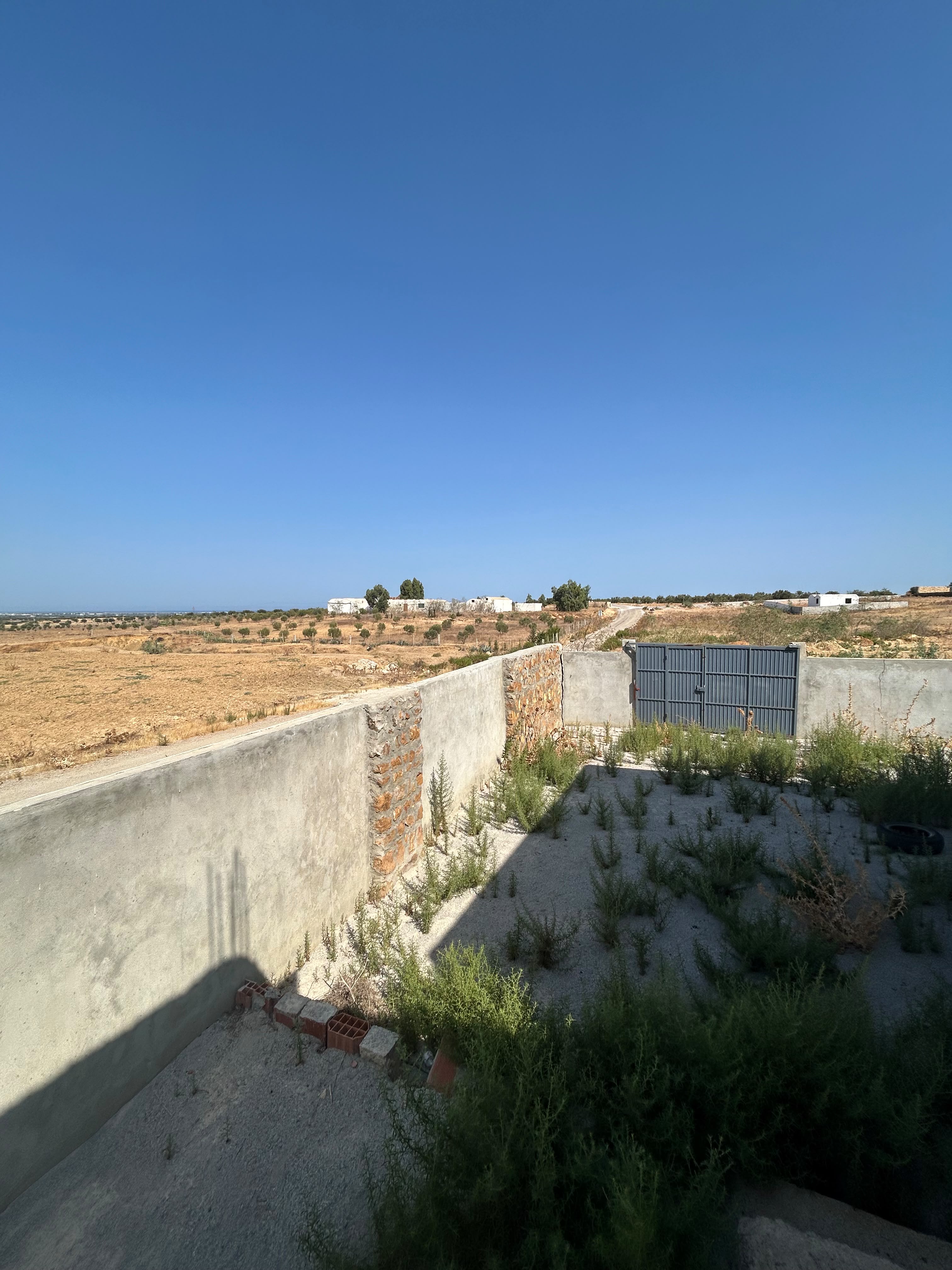 Bou Ficha&nbsp;Sidi Khelifa&nbsp;Terrain&nbsp;Terrain nu&nbsp;Investissement inratable sidi khalifa nouveauport