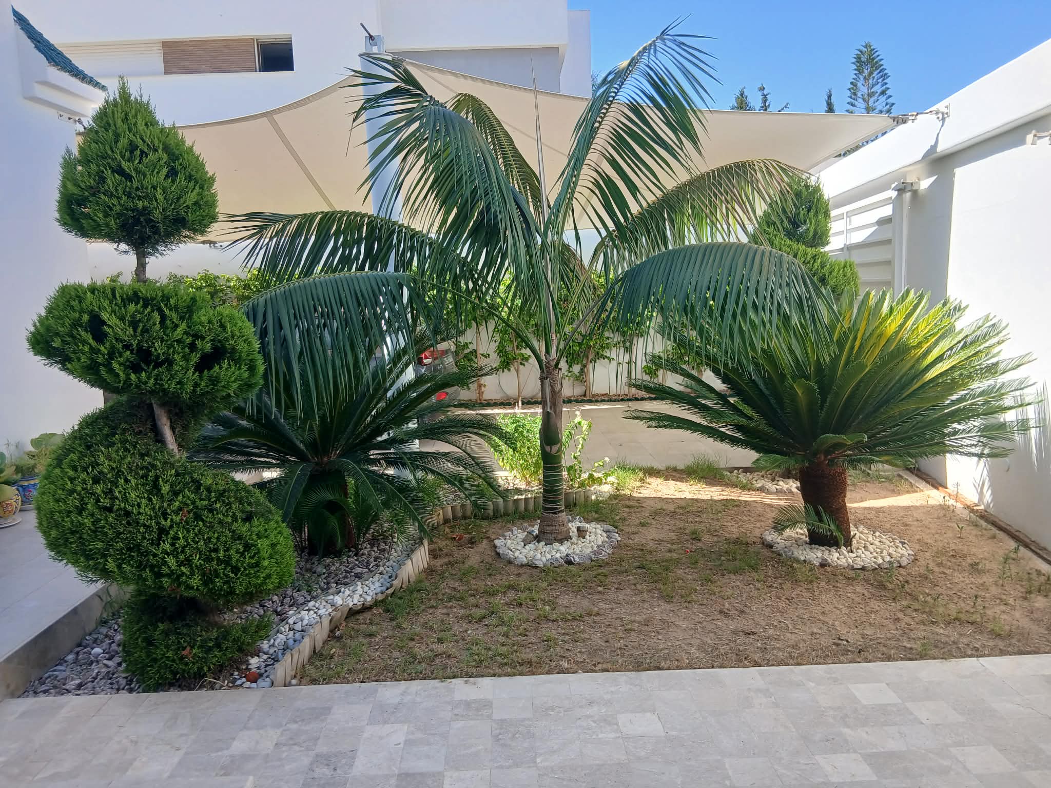 Hammamet&nbsp;Hammamet&nbsp;Location&nbsp;Maisons&nbsp;Zone touristique hotel magic life
