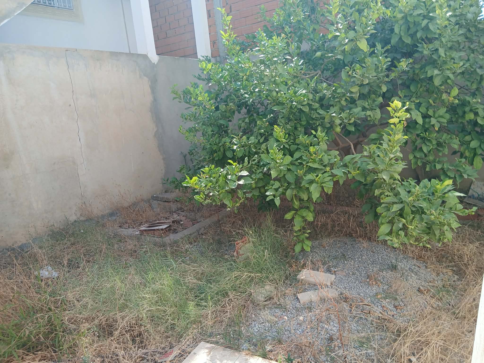 Hammamet&nbsp;Hammamet&nbsp;Vente&nbsp;Maisons&nbsp;Maison et appartement mrezgua