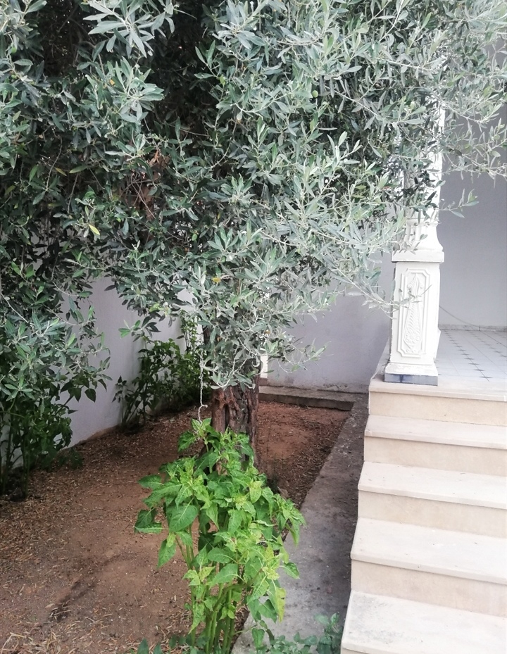 Mnihla&nbsp;Essanhaji&nbsp;Vente&nbsp;Maisons&nbsp;Bonne affaire