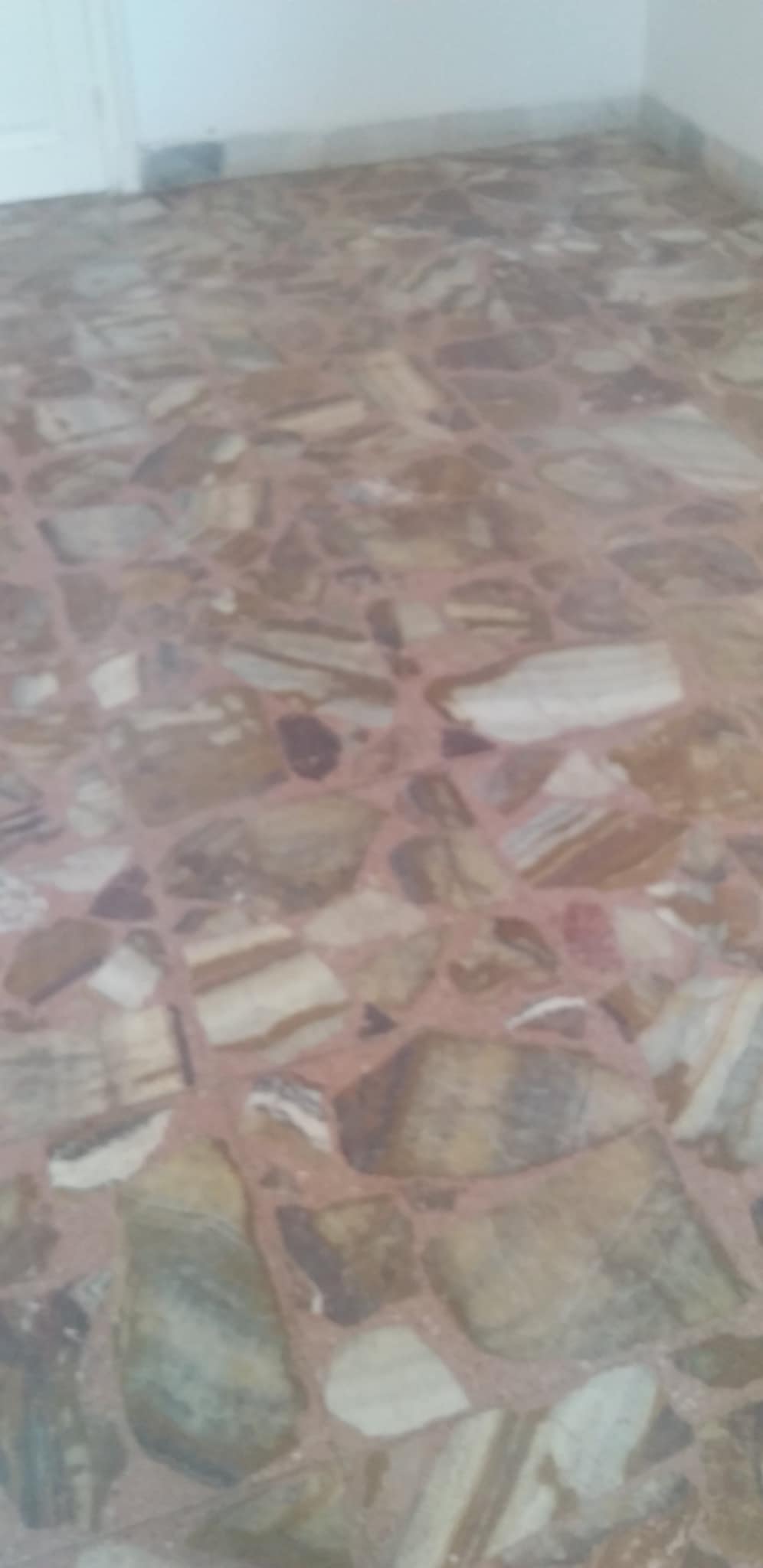 Le Bardo&nbsp;Le Bardo&nbsp;Location&nbsp;Appart. 5 pi�ces+&nbsp;Etage de villa