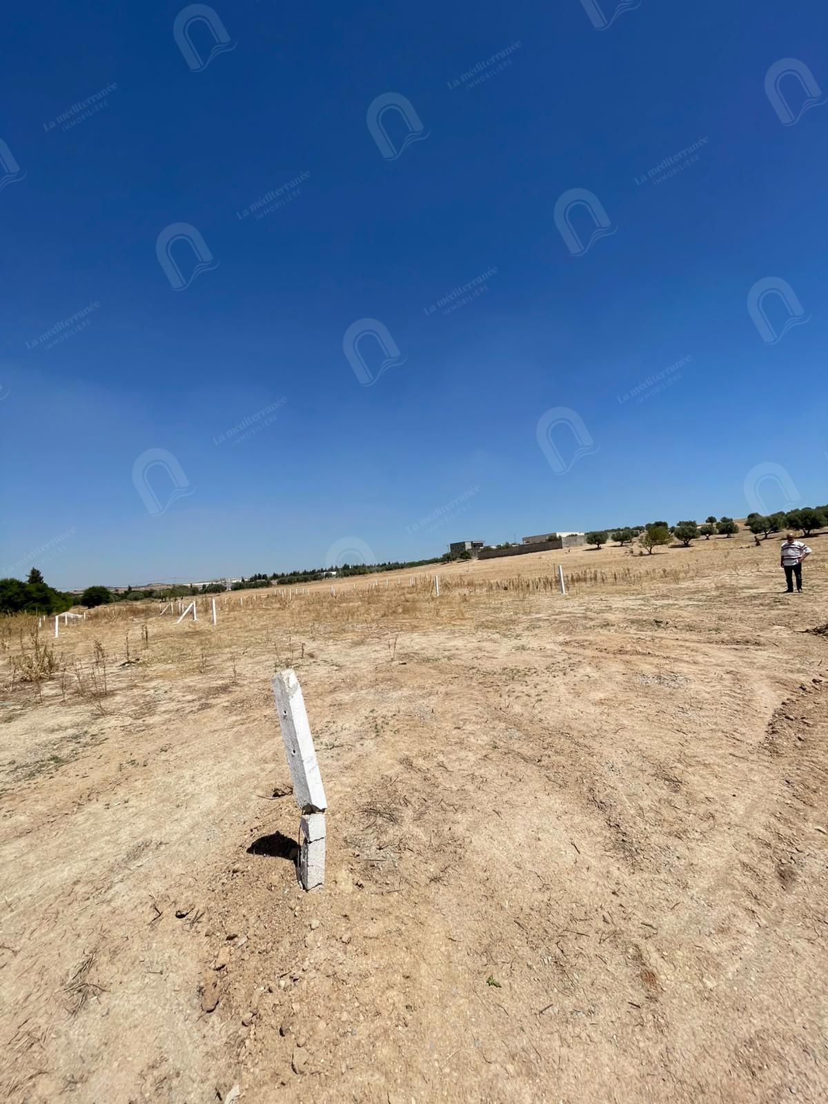 Mornaguia&nbsp;Mornaguia&nbsp;Terrain&nbsp;Terrain nu&nbsp;Un terrain � mornaguia