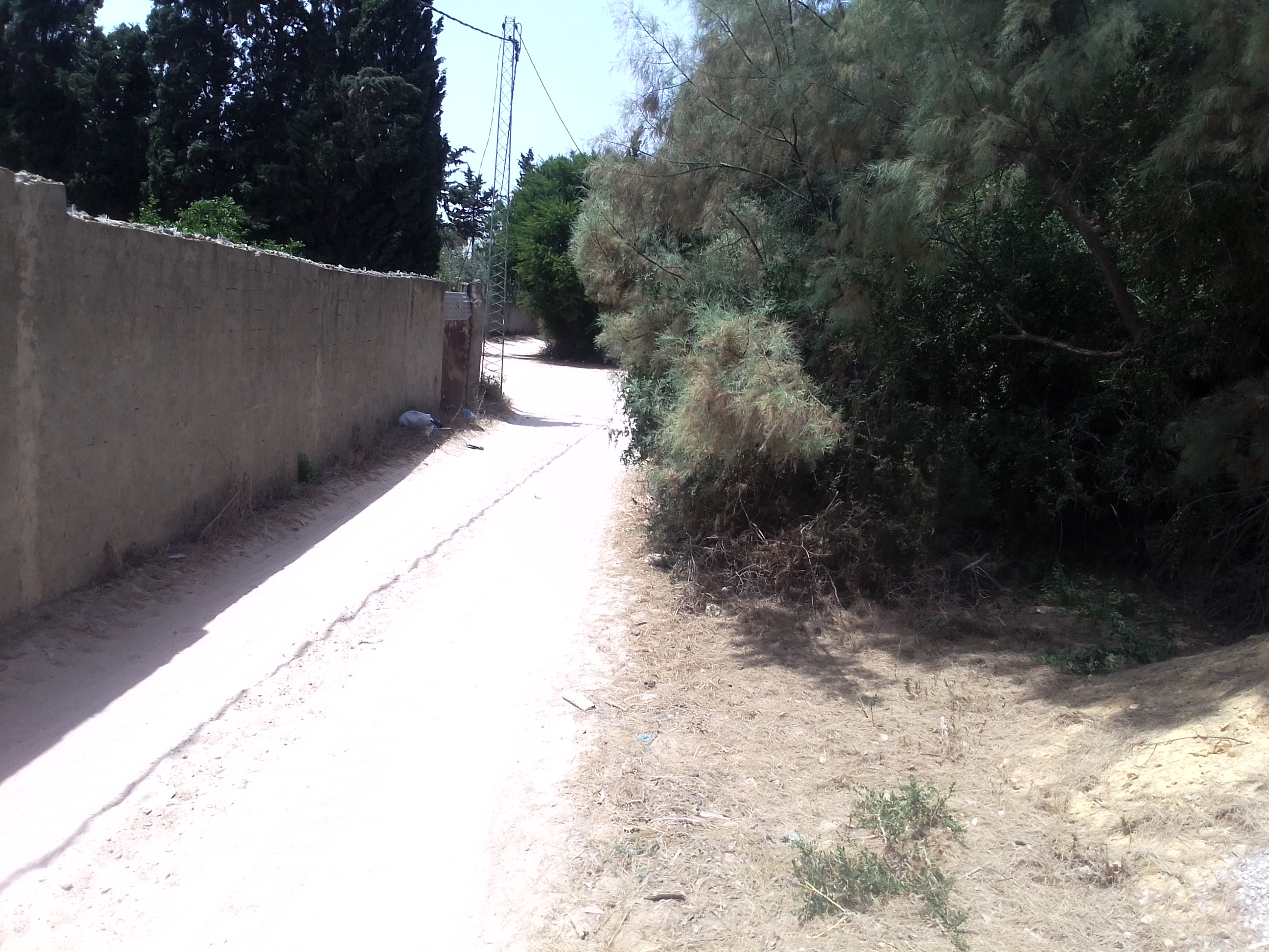Ras Jebel&nbsp;Cite Kaa El Ballout&nbsp;Vente&nbsp;Maisons&nbsp;Maison s 2  terrain 310 m 2 � 700 de rue