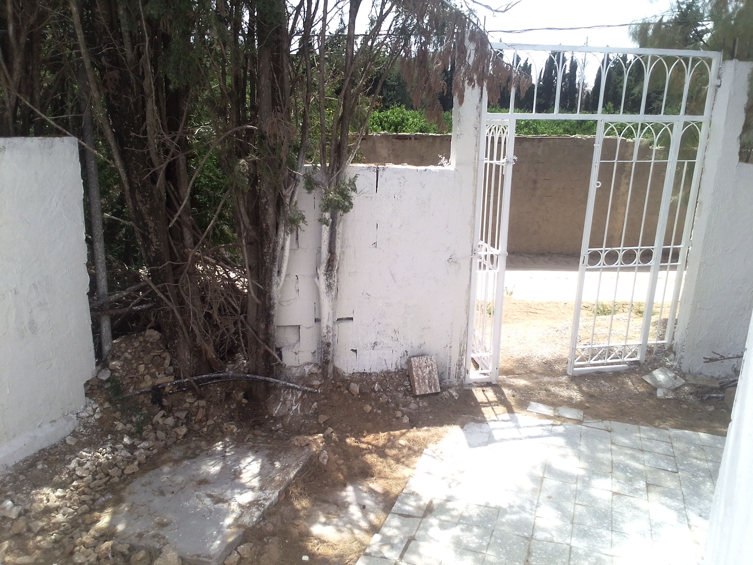 Ras Jebel&nbsp;Cite Kaa El Ballout&nbsp;Terrain&nbsp;Terrain agricole&nbsp;Terrain route plage mami � 700 m de rue