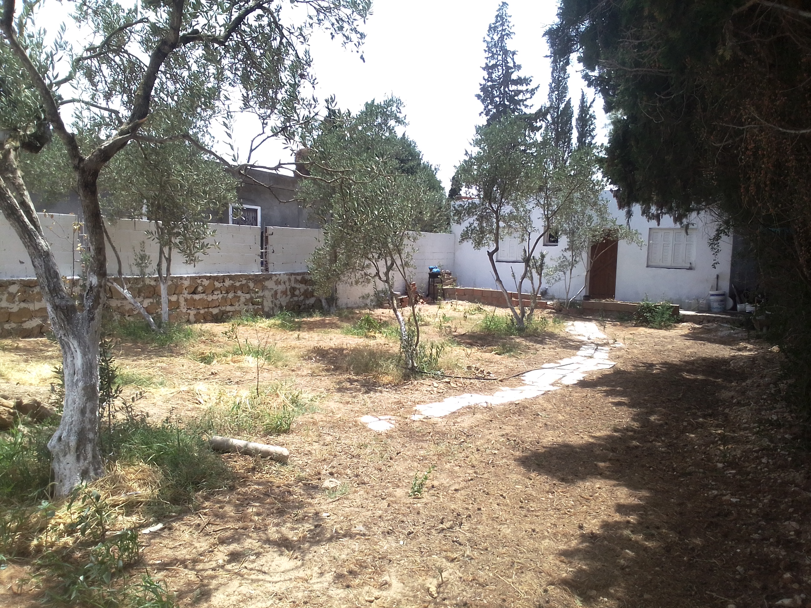 Ras Jebel&nbsp;Cite Kaa El Ballout&nbsp;Vente&nbsp;Maisons&nbsp;Maison s 2  terrain 310 m 2 route plage