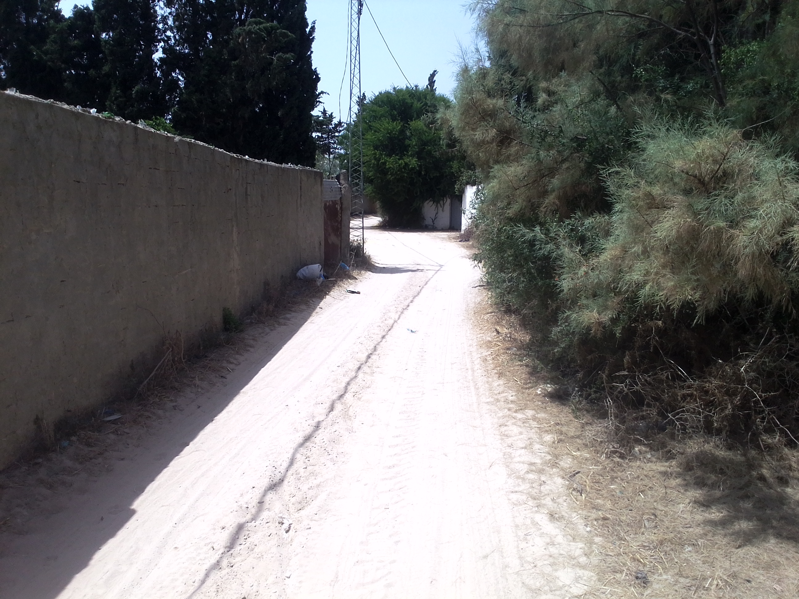 Ras Jebel&nbsp;Cite Kaa El Ballout&nbsp;Vente&nbsp;Maisons&nbsp;Maison s 2  terrain 310 m 2 route plage
