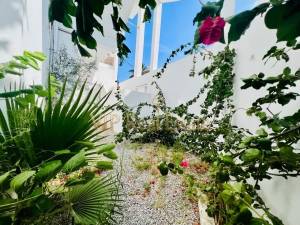 El Kram&nbsp;Le Kram&nbsp;Location&nbsp;Appart. 1 pi�ce&nbsp;  un  appartement s3 au ref812a