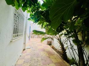 El Kram&nbsp;Le Kram&nbsp;Location&nbsp;Appart. 1 pi�ce&nbsp;  un  appartement s3 au ref812a