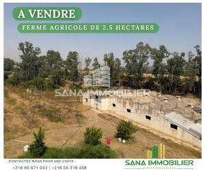 Mornag&nbsp;Mornag&nbsp;Vente&nbsp;Surfaces&nbsp;A   ferme agricole de 25 ref577a