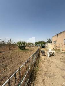 Mornag&nbsp;Mornag&nbsp;Vente&nbsp;Surfaces&nbsp;A   ferme agricole de 25 ref577a