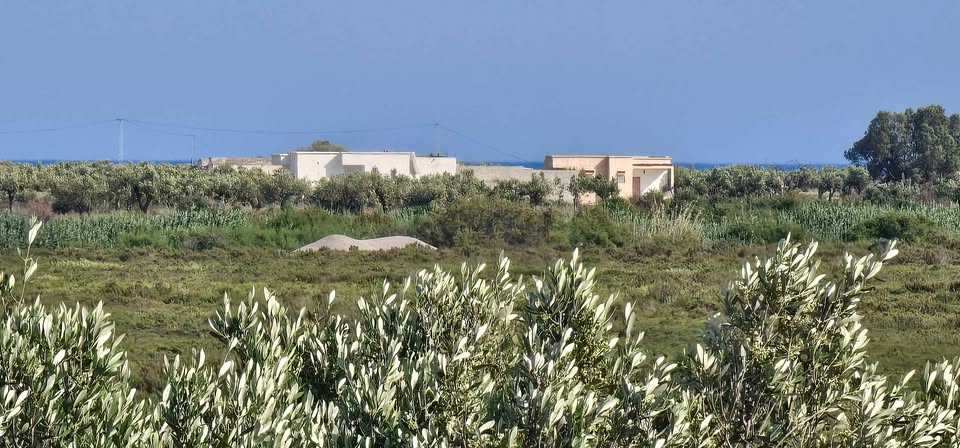 Hammamet&nbsp;Hammamet&nbsp;Terrain&nbsp;Terrain nu&nbsp;Terrain  route gp1 71 hammamet sud