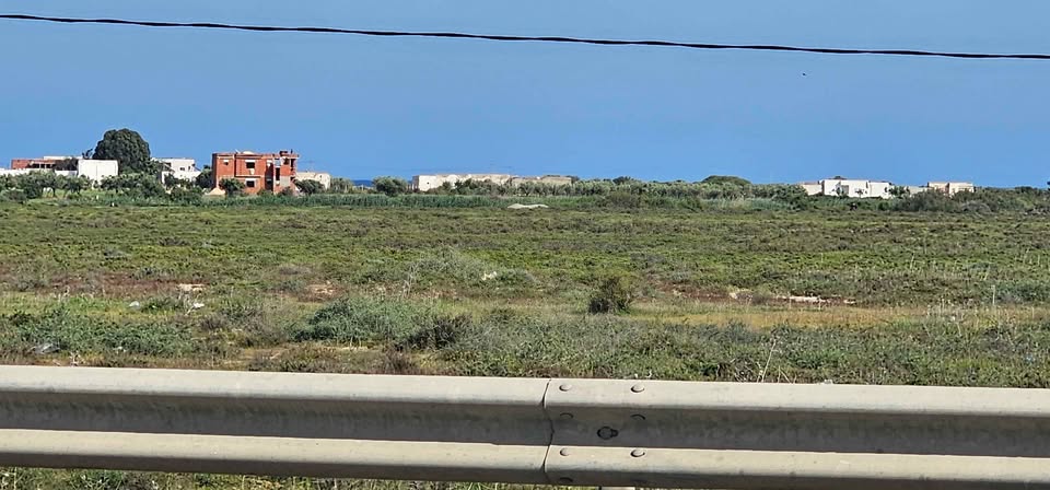 Hammamet&nbsp;Hammamet&nbsp;Terrain&nbsp;Terrain nu&nbsp;Terrain  route gp1 71 hammamet sud