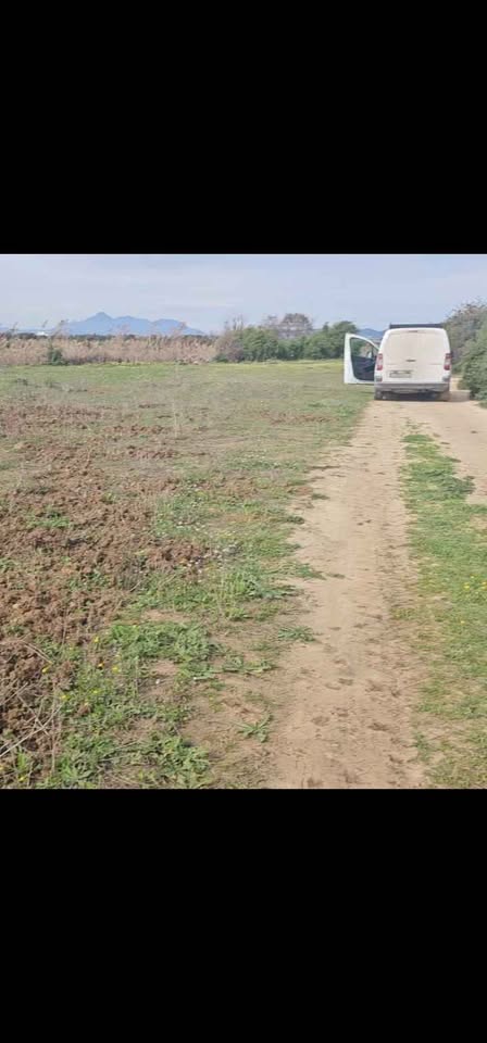 Hammamet&nbsp;Hammamet&nbsp;Terrain&nbsp;Terrain nu&nbsp;400m cote plage 71