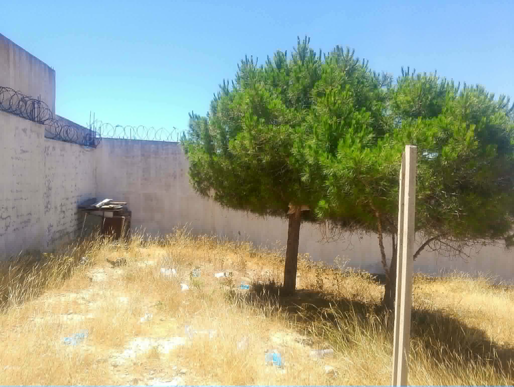 Hammamet&nbsp;Hammamet&nbsp;Terrain&nbsp;Terrain nu&nbsp;Terrain hammamet nord cot� la colline