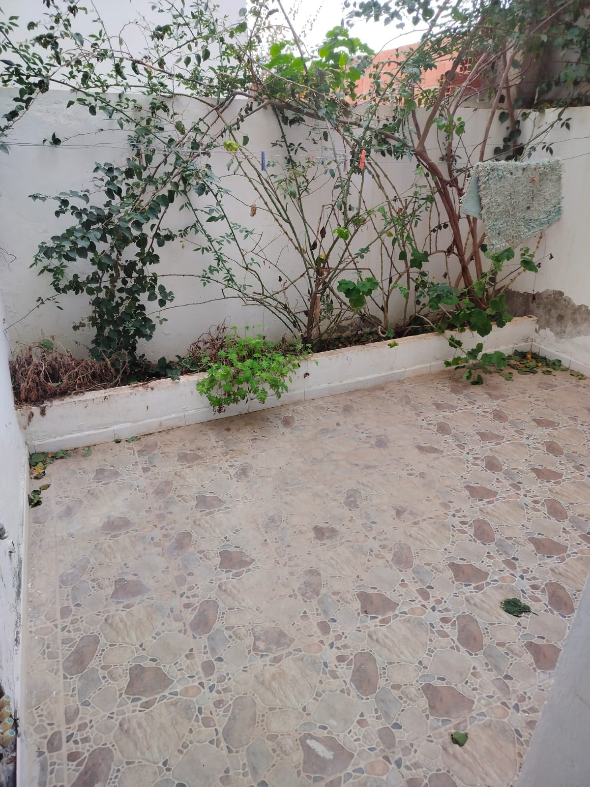 Hammamet&nbsp;Hammamet&nbsp;Vente&nbsp;Maisons&nbsp;Une maison  pres de jinen hammamet