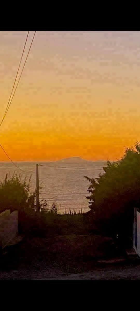 El Haouaria&nbsp;Cite Touristique&nbsp;Terrain&nbsp;Terrain nu&nbsp;Terrain de 600m2 � la plage