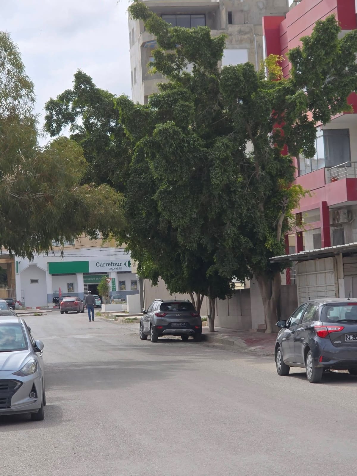 Sousse Jaouhara&nbsp;Sousse Khezama&nbsp;Terrain&nbsp;Terrain nu&nbsp;Un beau terrain de 740  m a khezama est