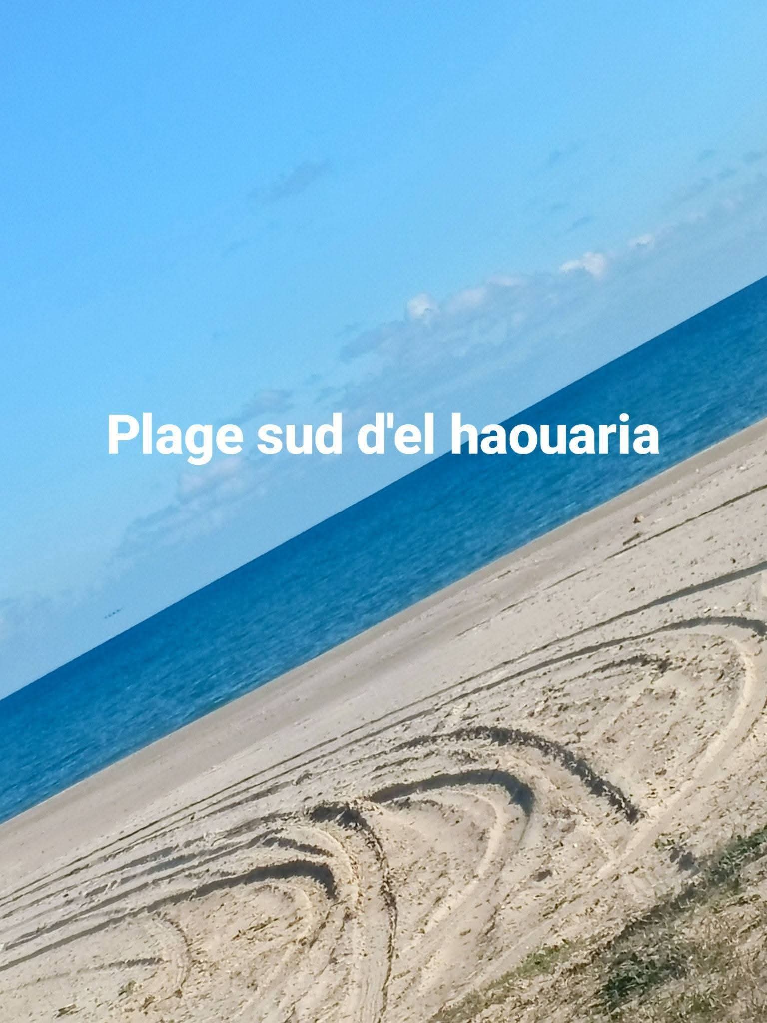 El Haouaria&nbsp;Cite Touristique&nbsp;Terrain&nbsp;Terrain nu&nbsp;Plage haouaria