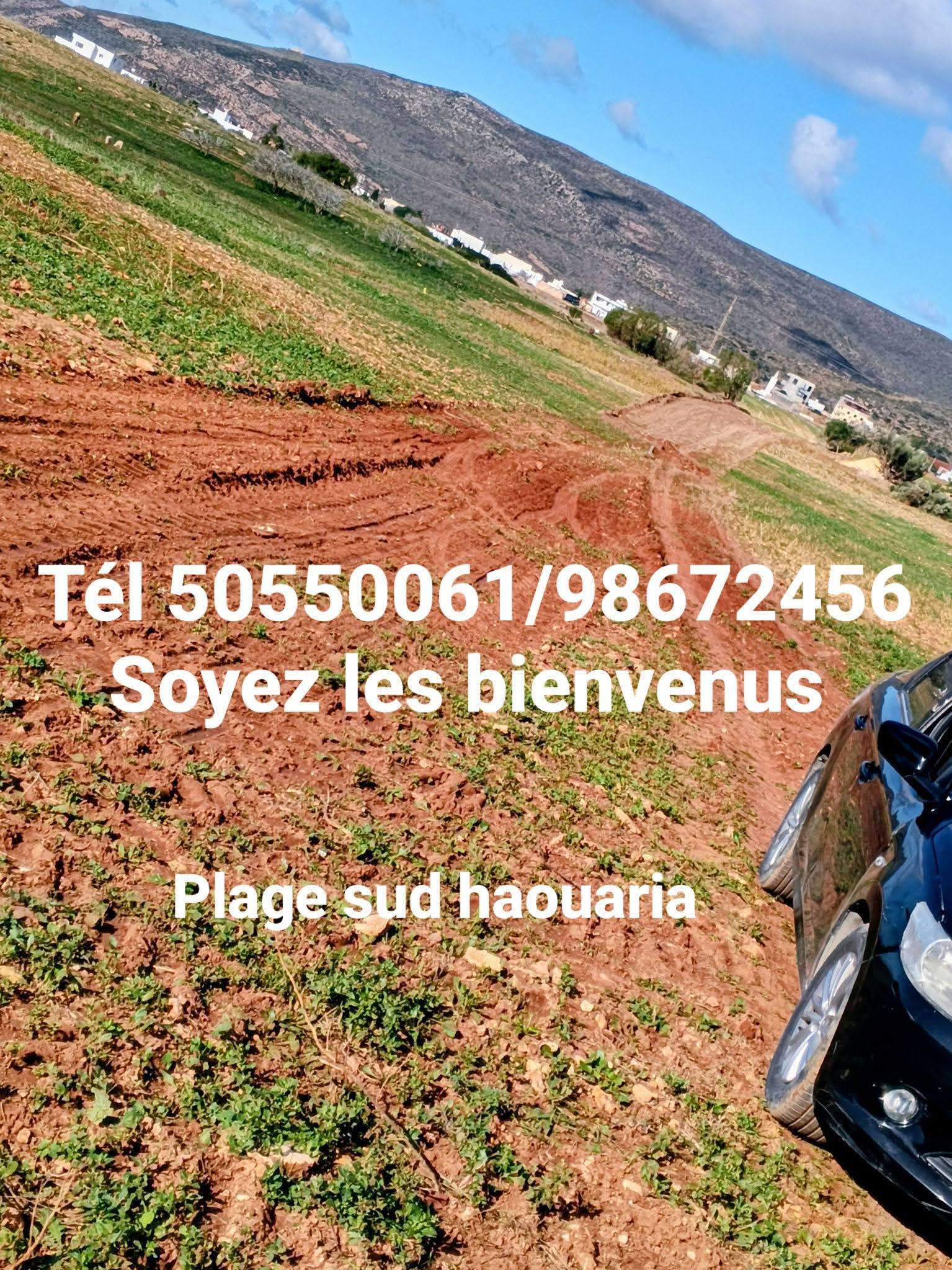 El Haouaria&nbsp;Cite Touristique&nbsp;Terrain&nbsp;Terrain nu&nbsp;Plage haouaria