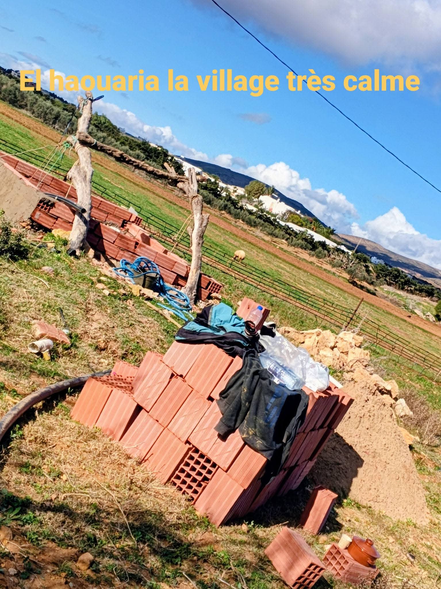 El Haouaria&nbsp;Cite Touristique&nbsp;Terrain&nbsp;Terrain nu&nbsp;Terrain habitation haouaria plage