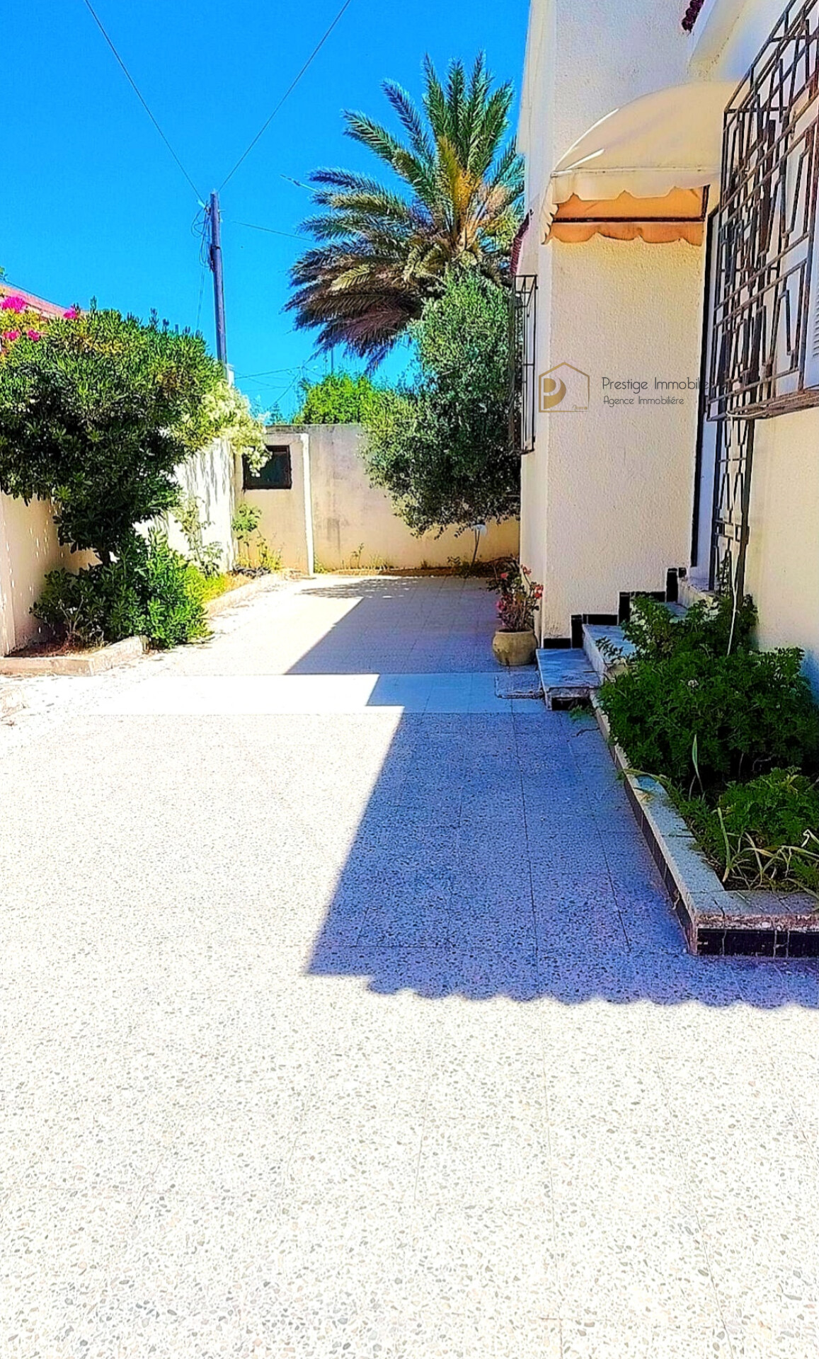 Soliman&nbsp;Soliman&nbsp;Vente&nbsp;Maisons&nbsp;Maison s3 et un studio