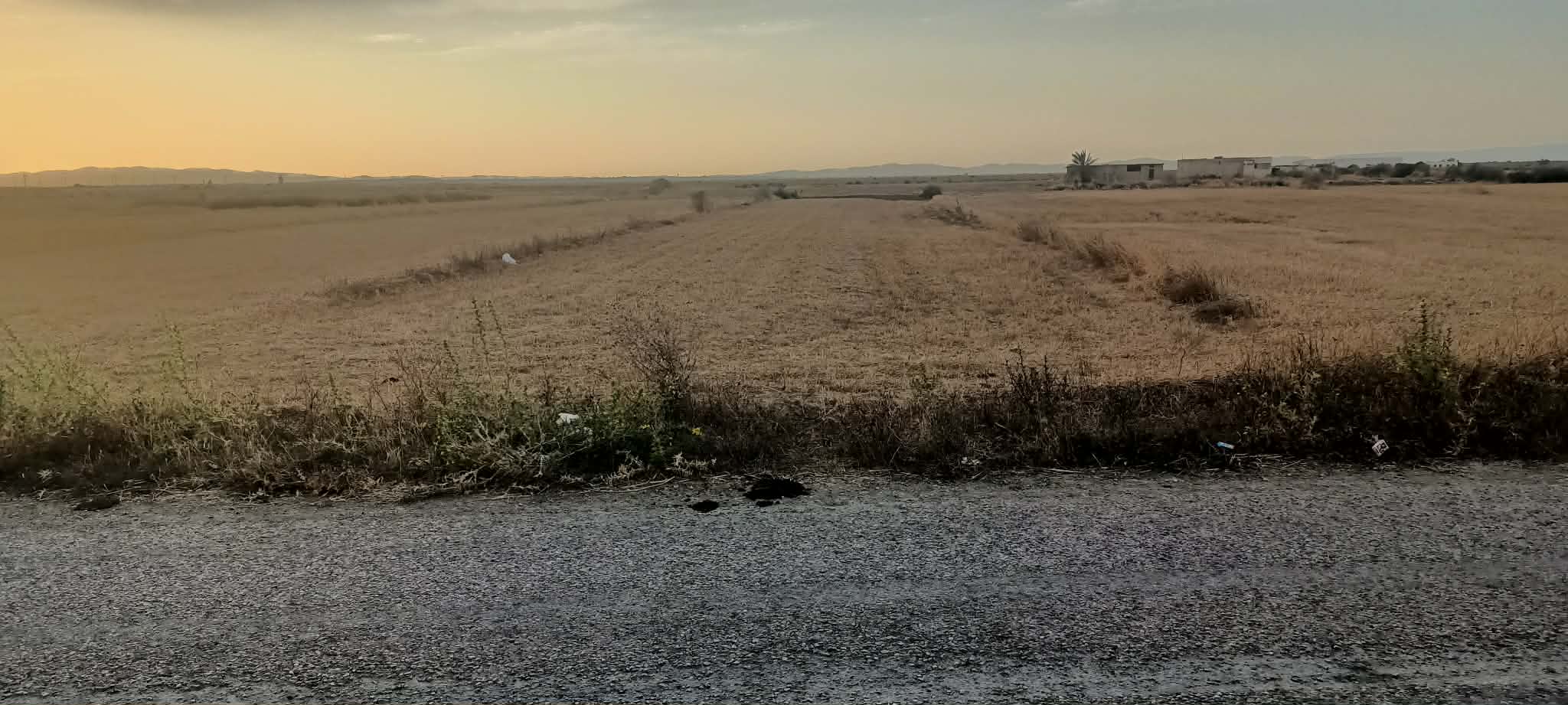 Raoued&nbsp;El Hessiene&nbsp;Terrain&nbsp;Terrain agricole&nbsp;Terrain � el hessienne