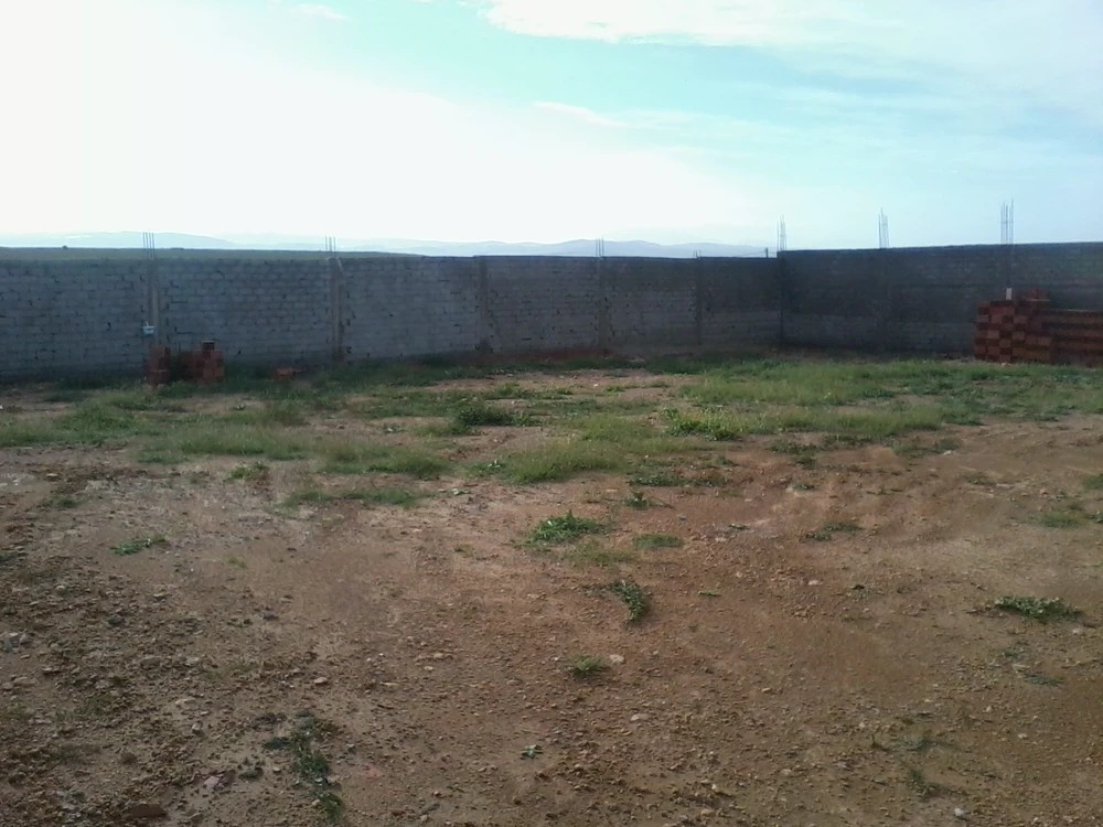 Mohamadia&nbsp;Cite El Omri 2&nbsp;Terrain&nbsp;Terrain nu&nbsp;Terrain nu