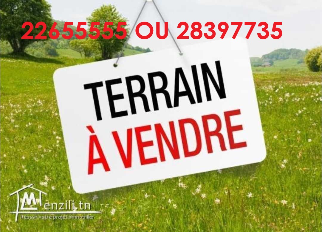 Mannouba&nbsp;La Mannouba&nbsp;Vente&nbsp;Autre&nbsp;Lot terrain 500 mettre