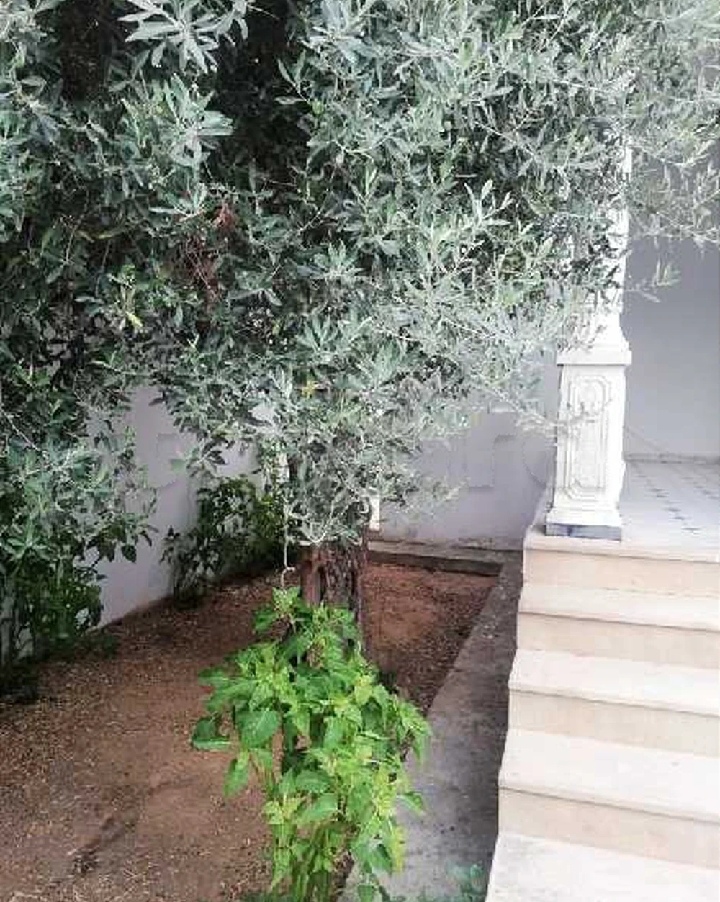 Mnihla&nbsp;Essanhaji&nbsp;Terrain&nbsp;Terrain nu&nbsp;Bonne affaire