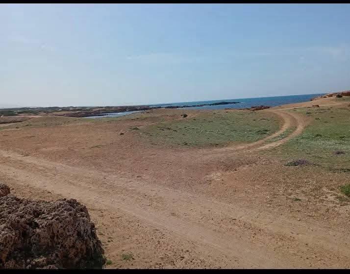 El Haouaria&nbsp;El Haouaria&nbsp;Terrain&nbsp;Terrain agricole&nbsp;Offre sp�cial 7 jours