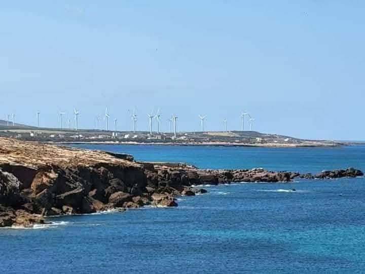 El Haouaria&nbsp;El Haouaria&nbsp;Terrain&nbsp;Terrain agricole&nbsp;Offre ne pas rater