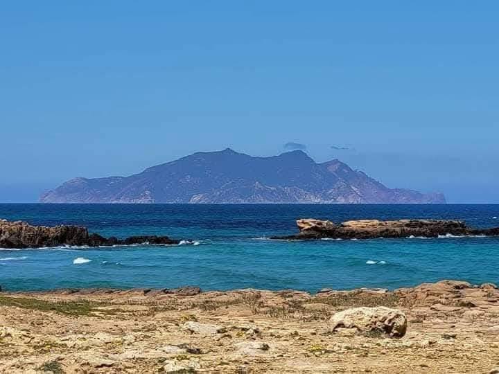 El Haouaria&nbsp;El Haouaria&nbsp;Terrain&nbsp;Terrain agricole&nbsp;Offre ne pas rater