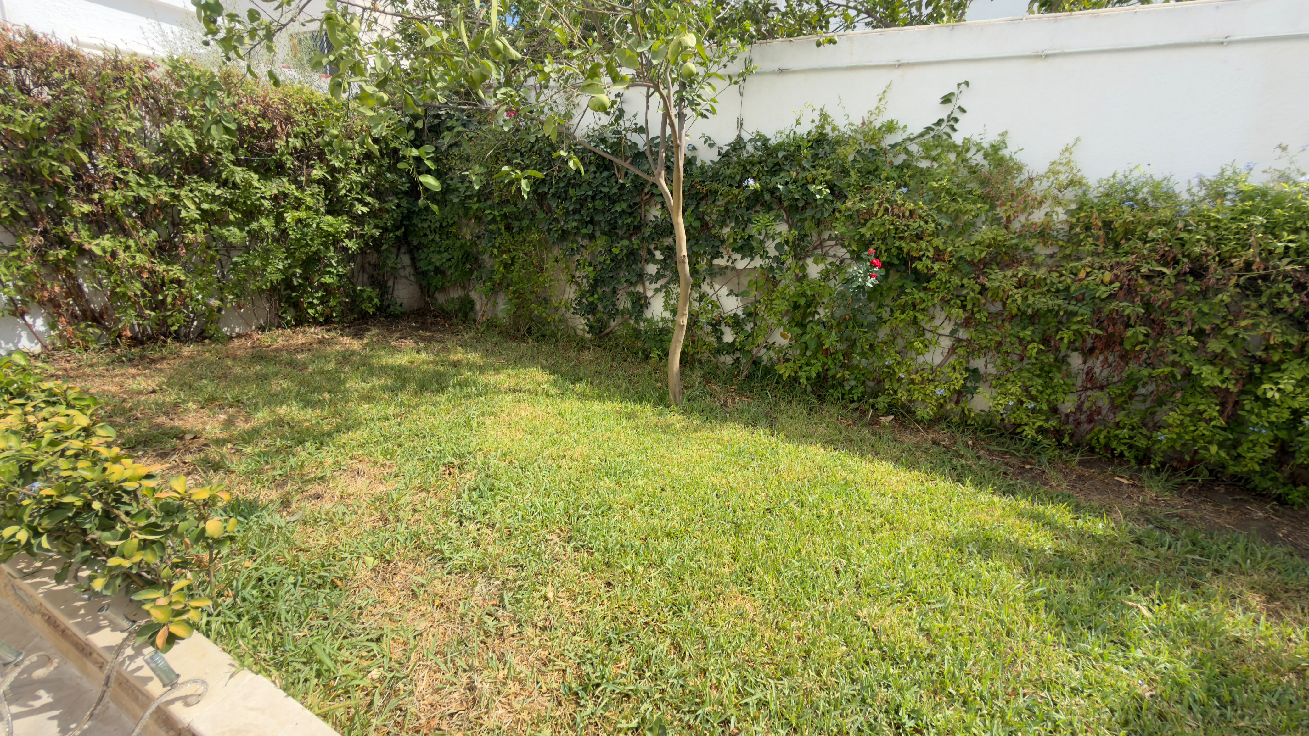 La Soukra&nbsp;Chotrana 1&nbsp;Location&nbsp;Appart. 2 pi�ces&nbsp;S1 a chotrana avec jardin