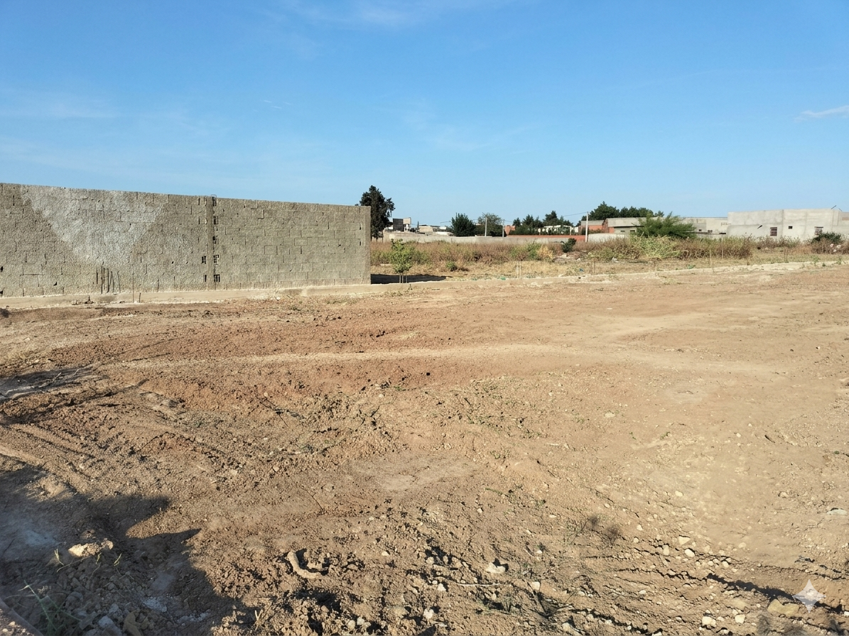 Oued Ellil&nbsp;Oued Ellil&nbsp;Terrain&nbsp;Terrain nu&nbsp;Terrain 1000 m2 double cl�ture bejaoua 1