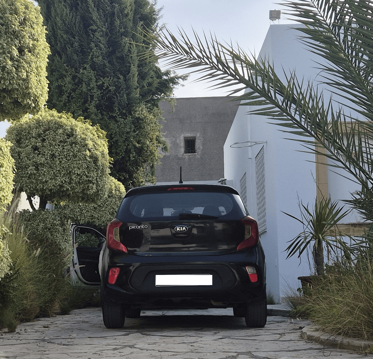 Bou Mhel El Bassatine&nbsp;Bou Mhel&nbsp;Kia&nbsp;Picanto&nbsp;Kia picanto noir cause voyage