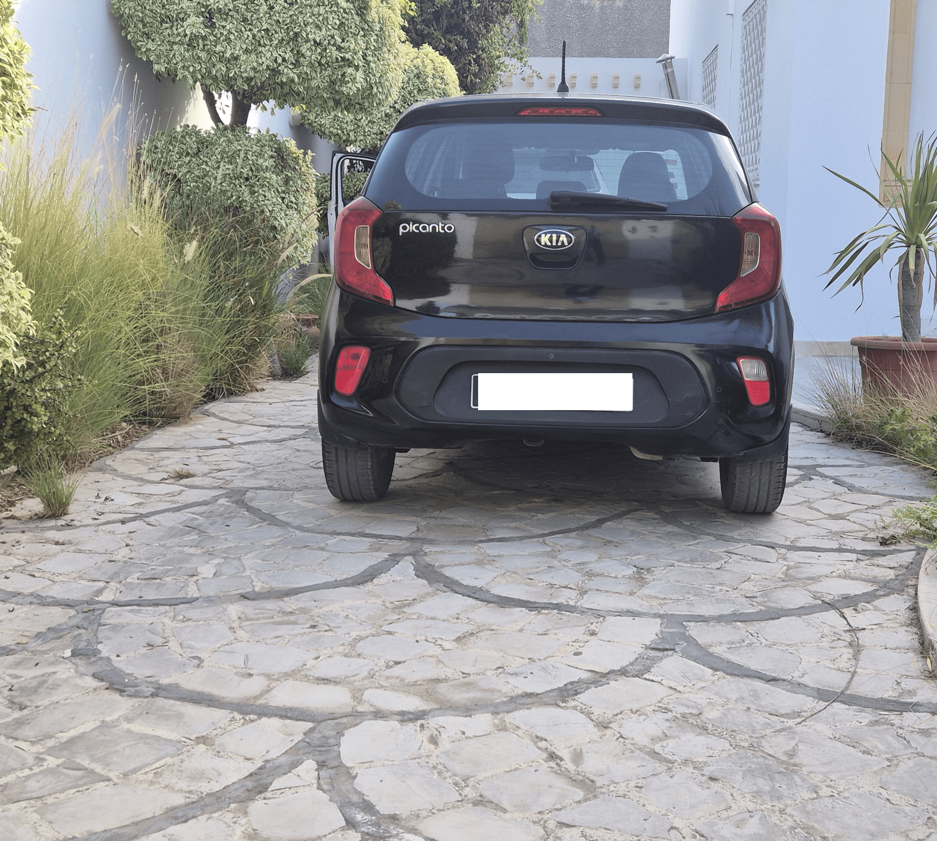 Bou Mhel El Bassatine&nbsp;Bou Mhel&nbsp;Kia&nbsp;Picanto&nbsp;Kia picanto noir cause voyage