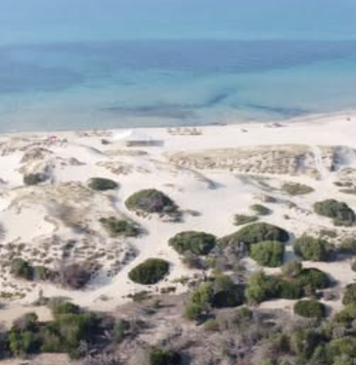 Bizerte Nord&nbsp;Bizerte&nbsp;Terrain&nbsp;Terrain nu&nbsp;Terrain bizerte � 250m de la plage