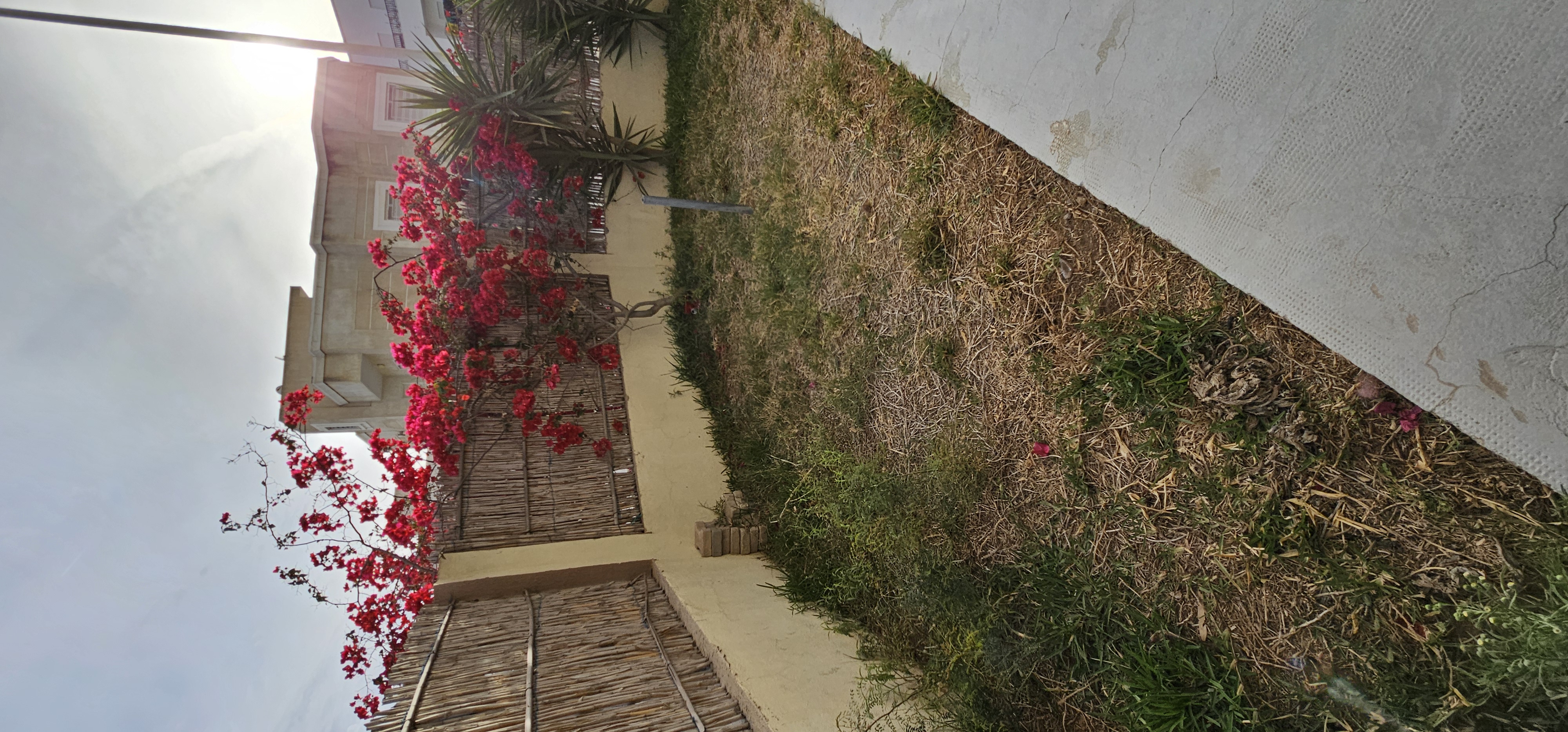 Ain Zaghouan&nbsp;Jardins de Carthage&nbsp;Location&nbsp;Appart. 4 pi�ces&nbsp;Apparemment s 3 avec jardin