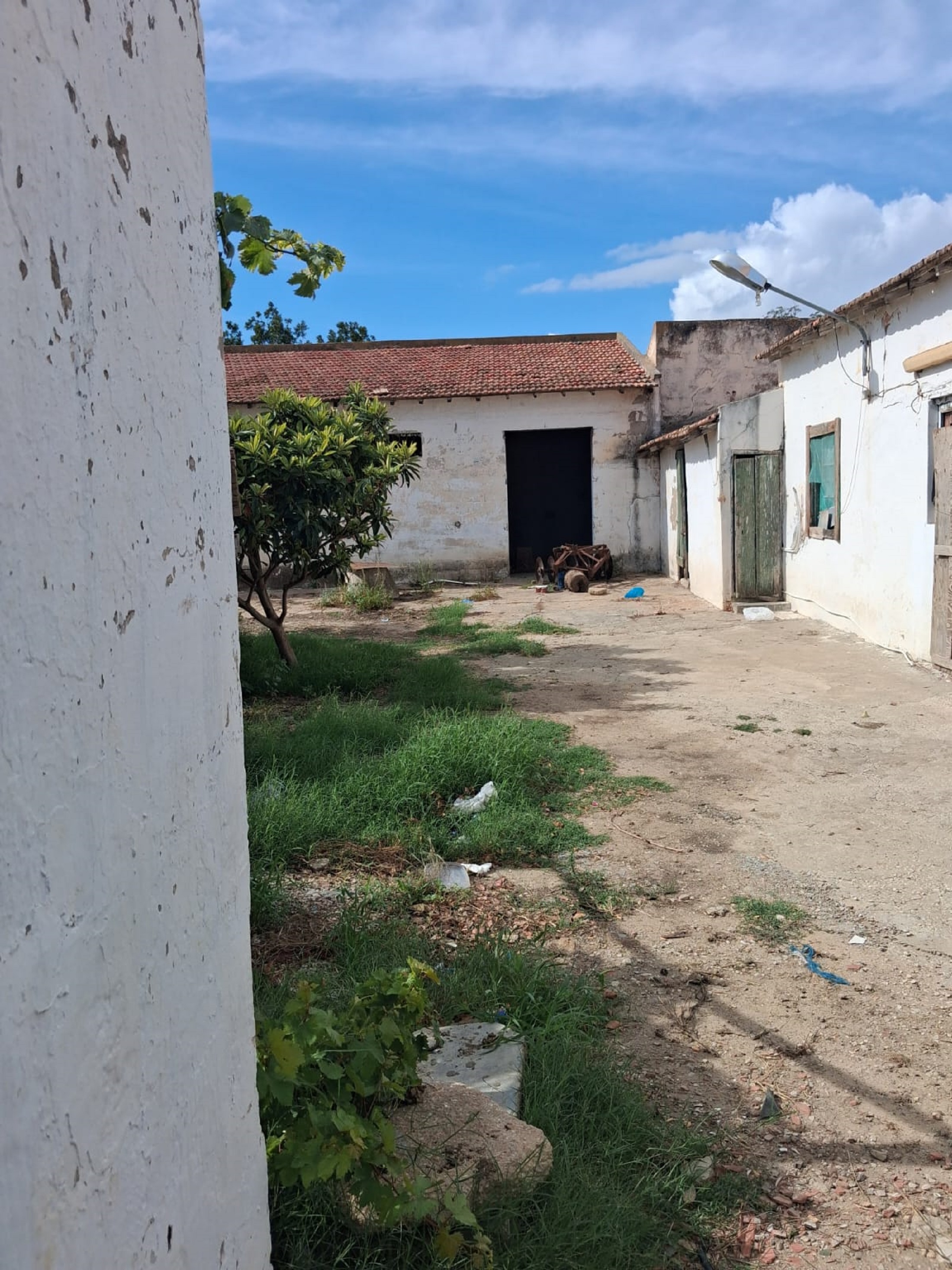 Grombalia&nbsp;Sammach&nbsp;Terrain&nbsp;Terrain agricole&nbsp;Gps sania agrume g � goutte batiment habitation
