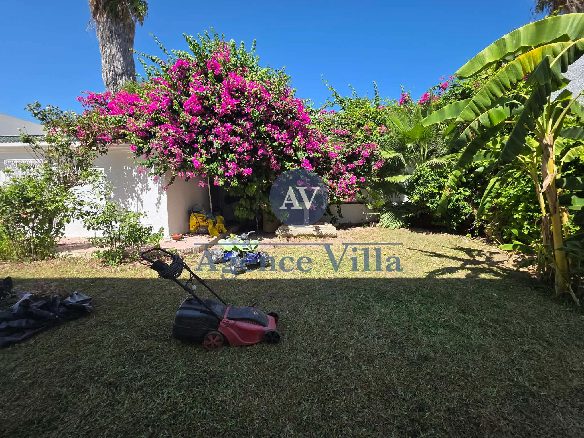 Carthage&nbsp;Carthage&nbsp;Location&nbsp;Maisons&nbsp;Villa s6 � carthage avec vue sur mer
