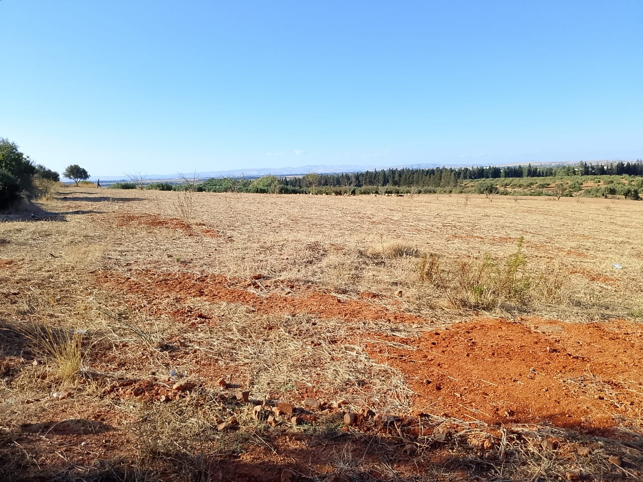 Sidi Thabet&nbsp;Sidi Thabet&nbsp;Terrain&nbsp;Terrain nu&nbsp;Terrain de 1 hectare � sidi thabet jabbes
