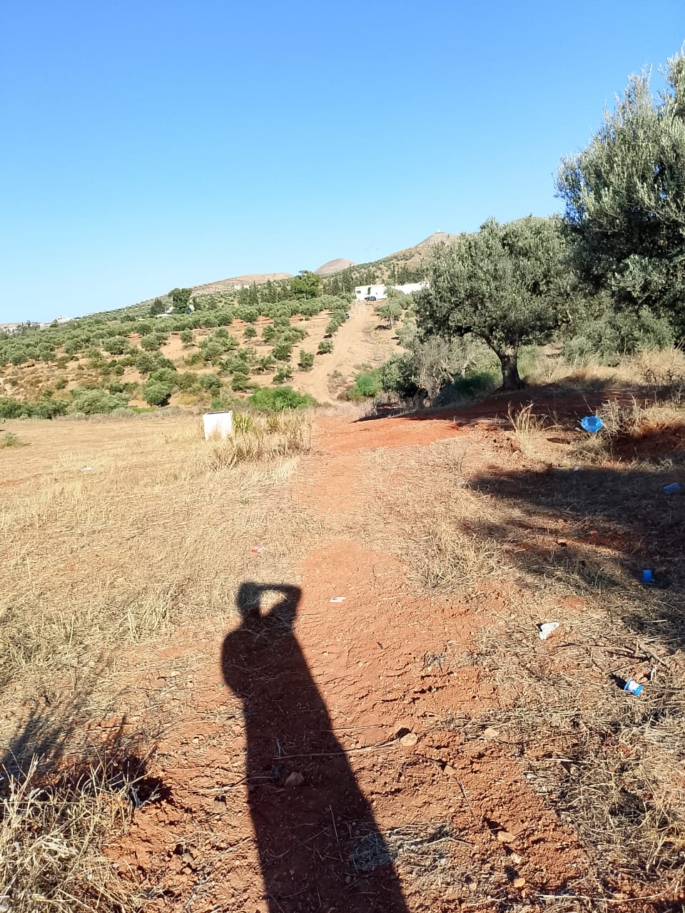 Sidi Thabet&nbsp;Sidi Thabet&nbsp;Terrain&nbsp;Terrain nu&nbsp;Terrain de 1 hectare � sidi thabet jabbes