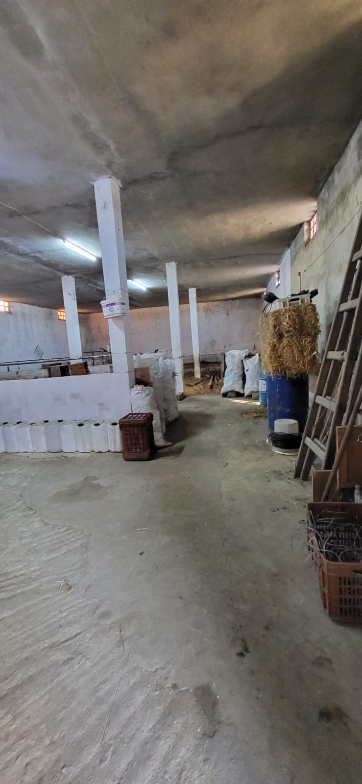 Menzel Jemil&nbsp;El Azib&nbsp;Vente&nbsp;Autre&nbsp;Terrain agricole � el azib